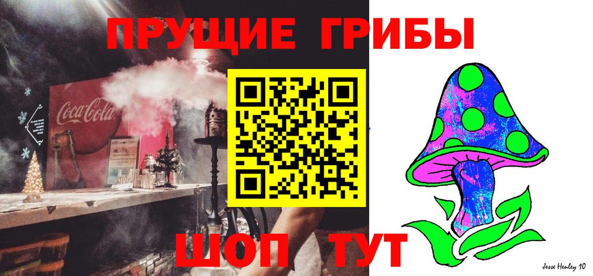 Псилоцибиновые грибы Psilocybine cubensis  Вход с VPN  Шатура 